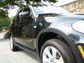 Black Sapphire Metallic - X5 4.8i Photo No. 13