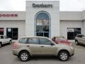 2009 Topaz Gold Metallic Subaru Forester 2.5 X  photo #1