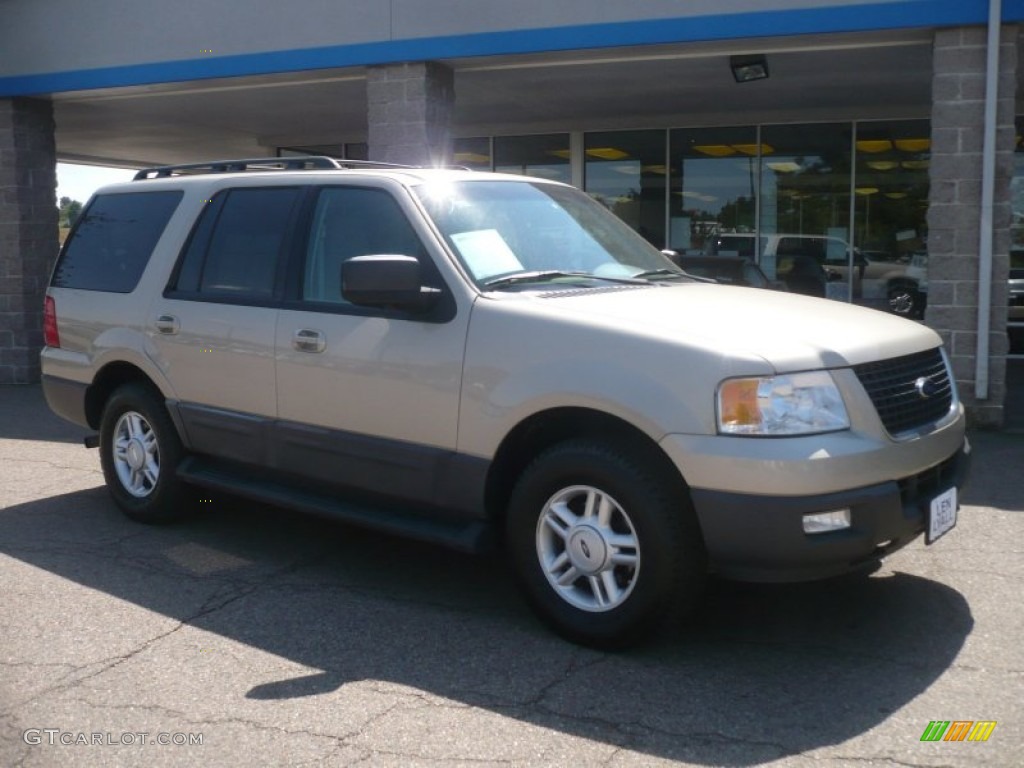 2005 Expedition XLT 4x4 - Pueblo Gold Metallic / Medium Parchment photo #1