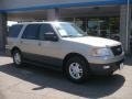 2005 Pueblo Gold Metallic Ford Expedition XLT 4x4  photo #1