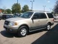 2005 Pueblo Gold Metallic Ford Expedition XLT 4x4  photo #2