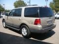2005 Pueblo Gold Metallic Ford Expedition XLT 4x4  photo #4