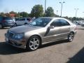 Pewter Metallic - C 230 Sport Photo No. 2