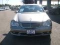 Pewter Metallic - C 230 Sport Photo No. 3