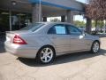 Pewter Metallic - C 230 Sport Photo No. 6