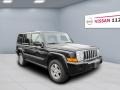 Black Clearcoat - Commander Sport 4x4 Photo No. 4