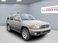 Polished Pewter Metallic - Pathfinder LE 4x4 Photo No. 4