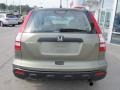 Green Tea Metallic - CR-V LX 4WD Photo No. 6
