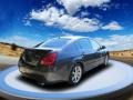 Dark Slate Metallic - Maxima 3.5 SE Photo No. 3