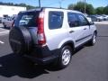 2006 Alabaster Silver Metallic Honda CR-V LX 4WD  photo #28
