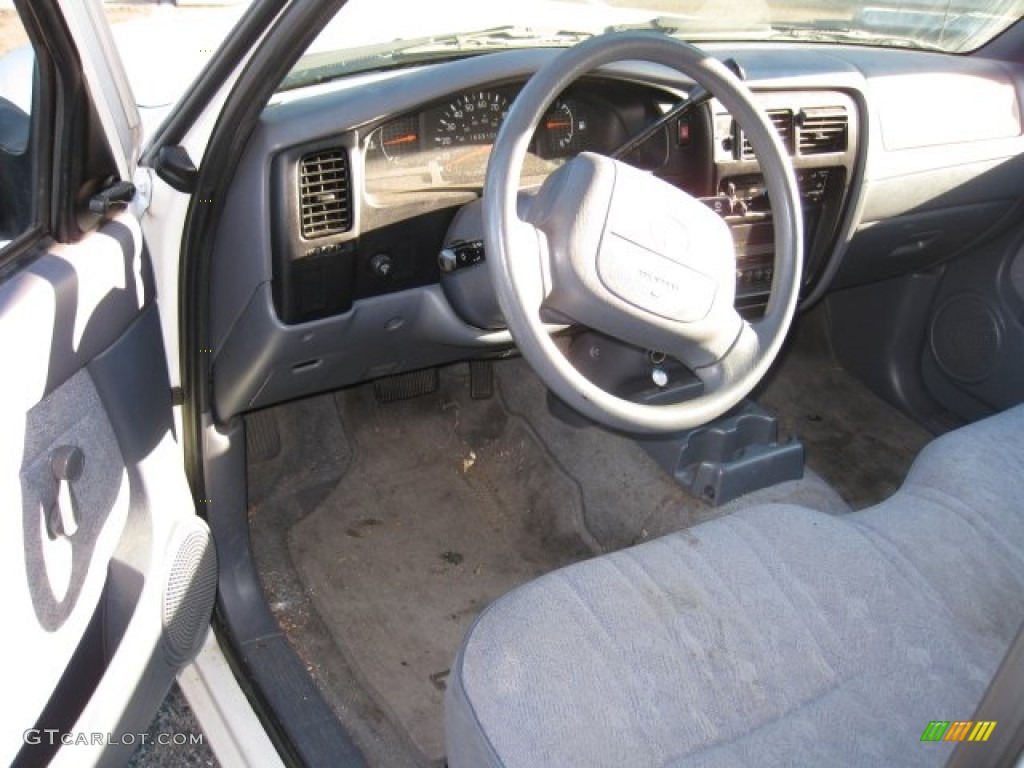 2000 Tacoma Regular Cab - Natural White / Gray photo #8