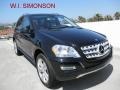 Black - ML 350 4Matic Photo No. 1