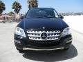 Black - ML 350 4Matic Photo No. 2
