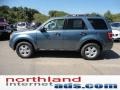 Steel Blue Metallic - Escape XLT Photo No. 5
