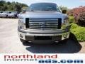 Sterling Grey Metallic - F150 XLT SuperCab 4x4 Photo No. 3