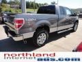 2011 Sterling Grey Metallic Ford F150 XLT SuperCab 4x4  photo #8