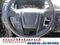 2011 Sterling Grey Metallic Ford F150 XLT SuperCab 4x4  photo #12