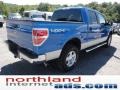 Blue Flame Metallic - F150 XLT SuperCrew 4x4 Photo No. 8