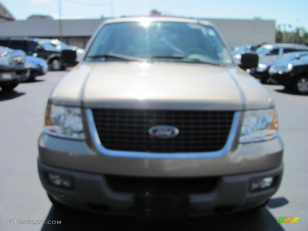 2003 Expedition XLT 4x4 - Arizona Beige Metallic / Medium Parchment photo #21