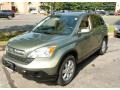 2009 Green Tea Metallic Honda CR-V EX-L 4WD  photo #1