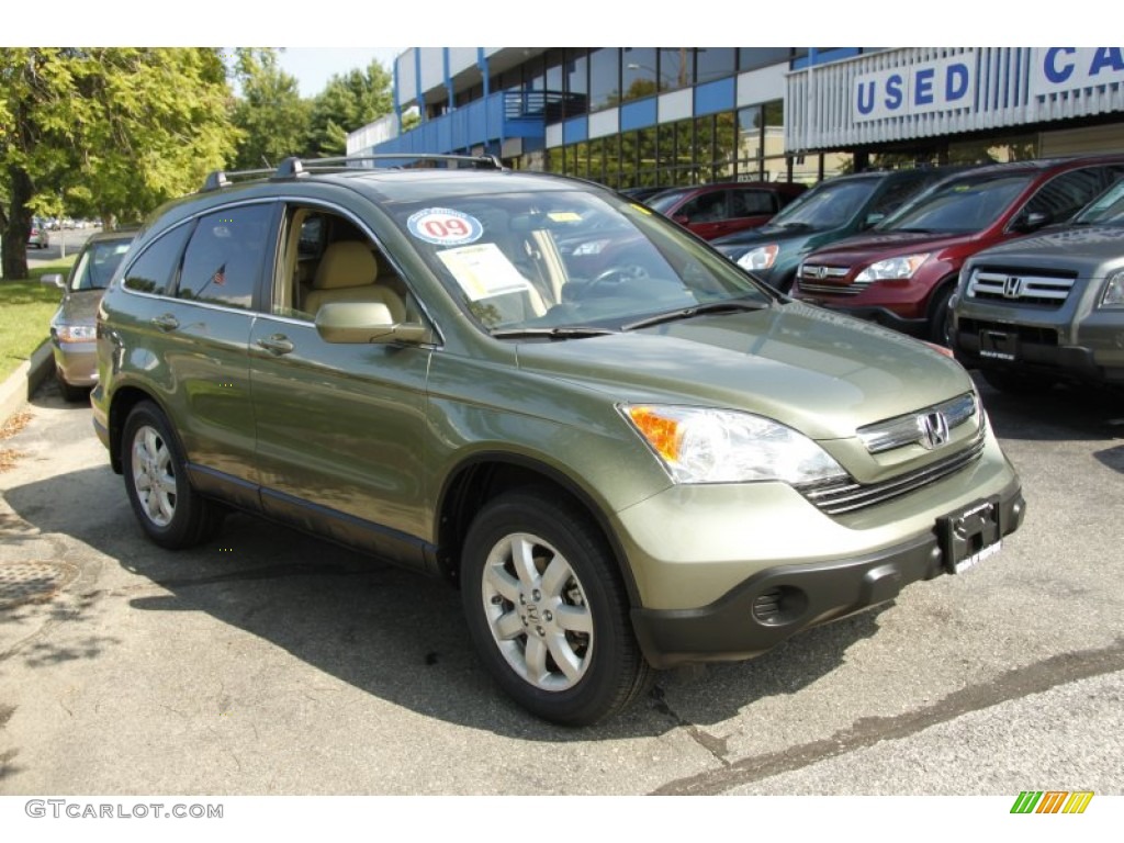 2009 CR-V EX-L 4WD - Green Tea Metallic / Ivory photo #3