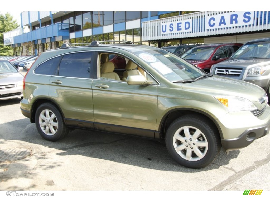 2009 CR-V EX-L 4WD - Green Tea Metallic / Ivory photo #4