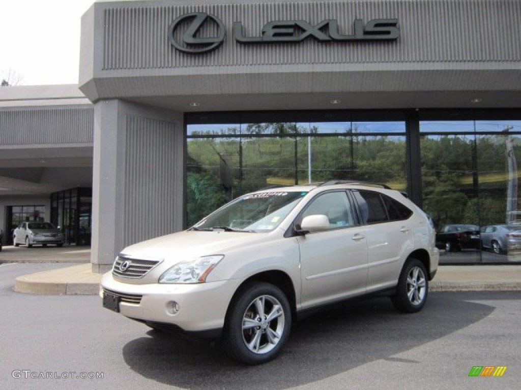 Savannah Metallic Lexus RX