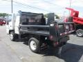 White - W Series Truck W4500 Commercial Dump Truck Photo No. 5