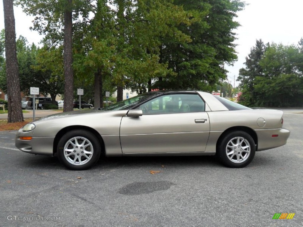 Light Pewter Metallic 2000 Chevrolet Camaro Coupe Exterior Photo #53597611