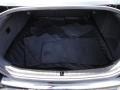 Black Trunk Photo for 2010 Audi A6 #53602284