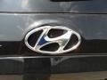2012 Hyundai Santa Fe SE V6 Badge and Logo Photo