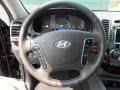 Gray Steering Wheel Photo for 2012 Hyundai Santa Fe #53611943