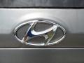 2012 Hyundai Santa Fe GLS Badge and Logo Photo