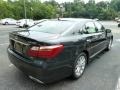 Smoky Granite Mica - LS 460 AWD Photo No. 4