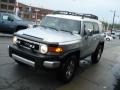 Titanium Metallic - FJ Cruiser 4WD Photo No. 4