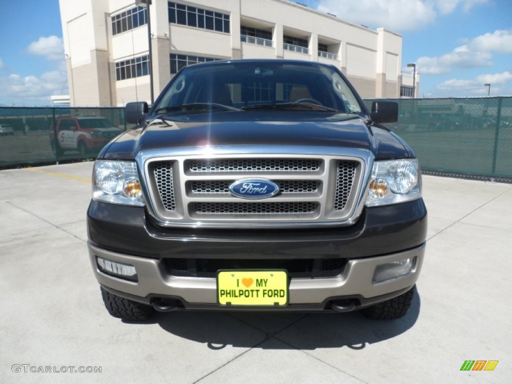 2005 F150 King Ranch SuperCrew 4x4 - Dark Stone Metallic / Castano Brown Leather photo #8