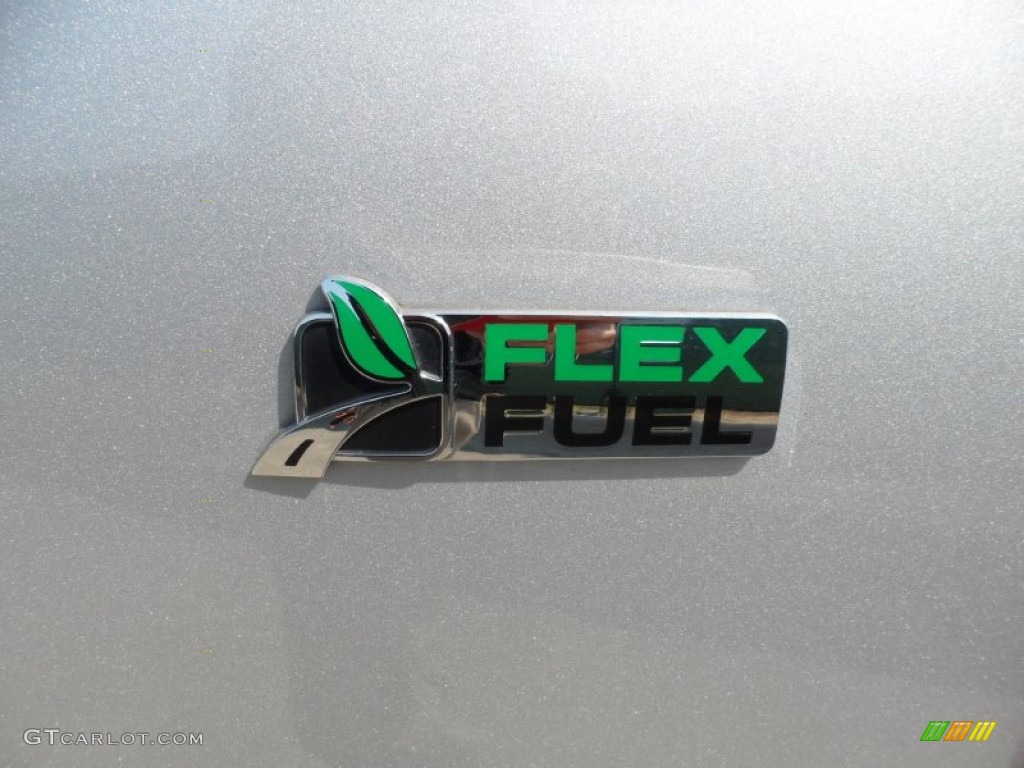 2010 Ford Expedition XLT Marks and Logos Photo #53620740