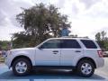 2012 Ingot Silver Metallic Ford Escape XLT  photo #2