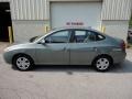 Natural Khaki - Elantra GLS Photo No. 2