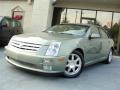 2005 Silver Green Cadillac STS V8  photo #3