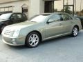 2005 Silver Green Cadillac STS V8  photo #5