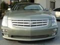 2005 Silver Green Cadillac STS V8  photo #7