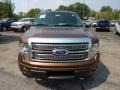 Golden Bronze Metallic - F150 Platinum SuperCrew 4x4 Photo No. 6