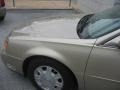 Light Cashmere - DeVille Sedan Photo No. 44