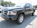 2011 Brilliant Black Crystal Pearl Dodge Dakota Big Horn Crew Cab  photo #3