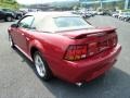 2001 Laser Red Metallic Ford Mustang Cobra Convertible  photo #4