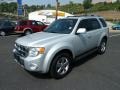 Silver Metallic - Escape Limited 4WD Photo No. 5