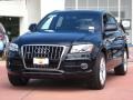 Phantom Black Pearl Effect - Q5 3.2 FSI quattro Photo No. 1