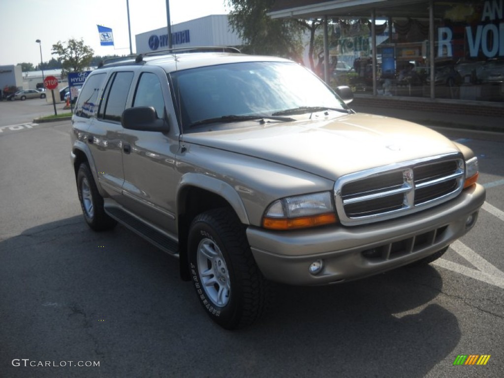 2002 Durango SLT 4x4 - Light Almond Pearl Metallic / Dark Slate Gray photo #1