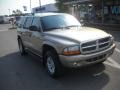 2002 Light Almond Pearl Metallic Dodge Durango SLT 4x4 #53621876